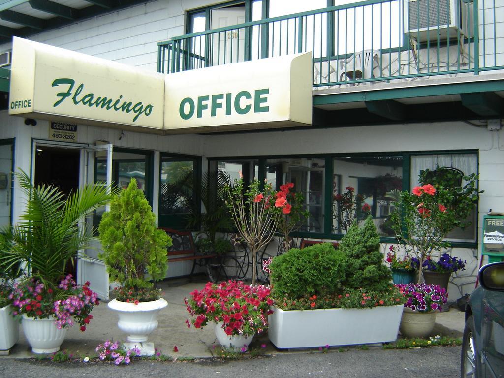 Flamingo Motel Penticton Exterior photo